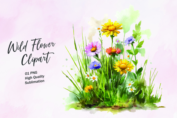 Wildflower Png Image 11