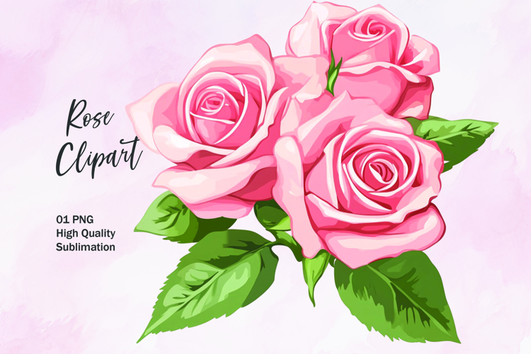 Rose Illustration Image 12