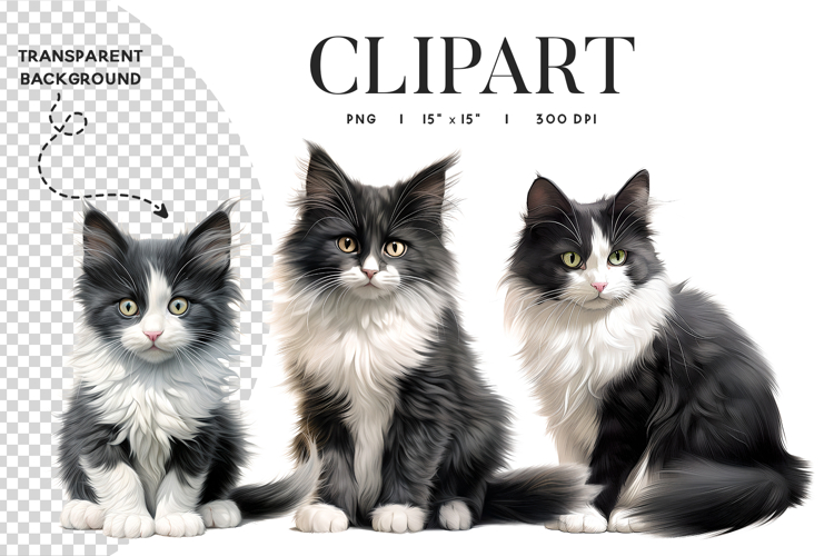 Black and White Cat Clipart PNG Transparent Background