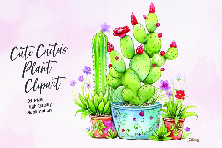 Cute Cactus Pictures Image 15