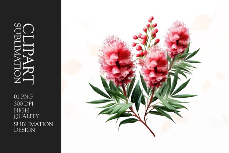 Flower Clipart Image 21