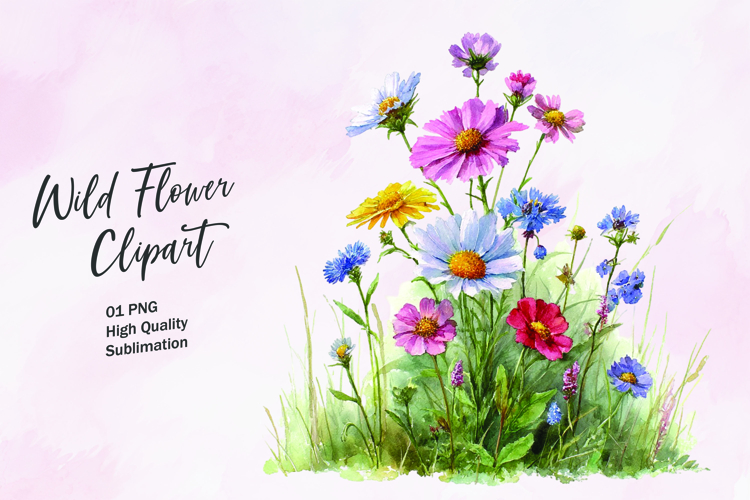 Wildflower Png Image 4