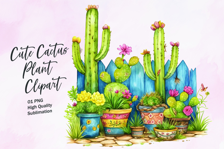 Cute Cactus Pictures Image 19