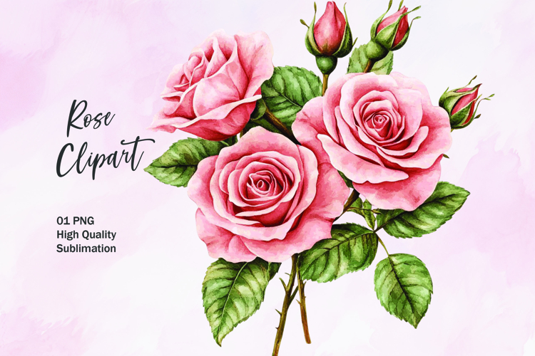 Pink rose watercolor clipart sublimation