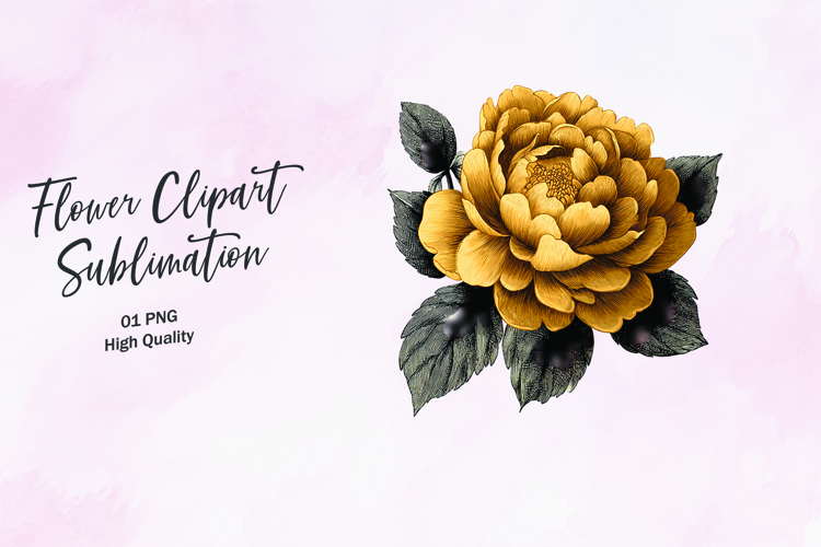 Floral Png Image 14