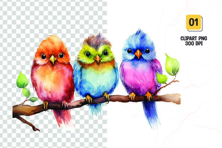 Birds Png Image 15
