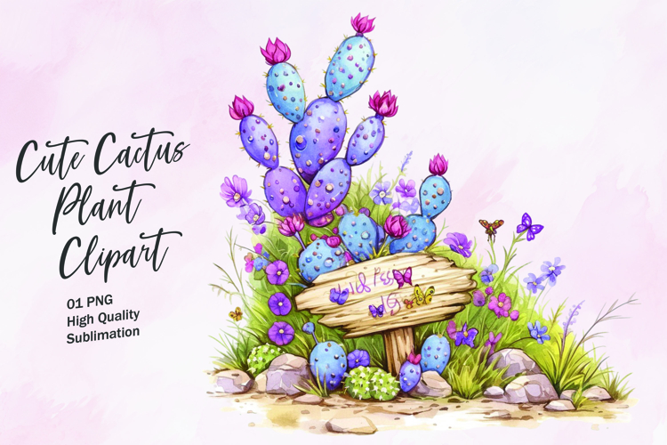 Cute Cactus Pictures Image 17