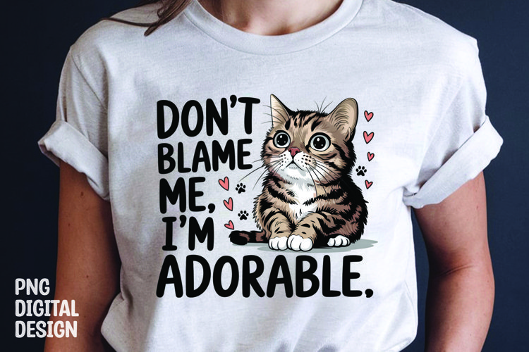 Cat Png Image 24