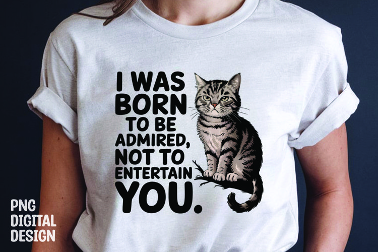 Cat Png Image 7