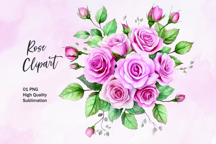 Rose Illustration Image 8