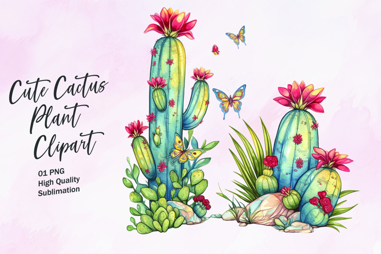 Cute Cactus Pictures Image 19