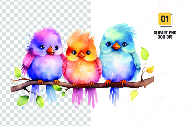 Birds Png Image 13