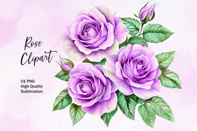 Rose Illustration Image 4