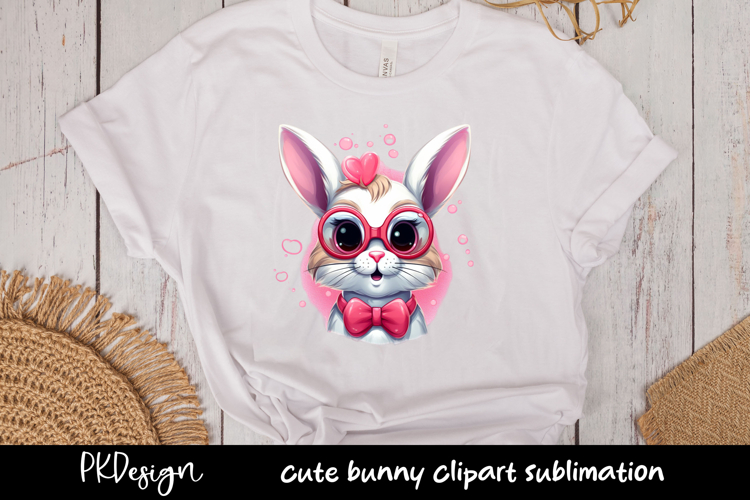 Rabbit Illustration Image 17
