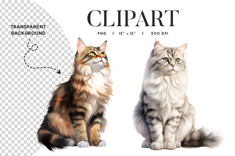 Longhair Cat Clipart PNG