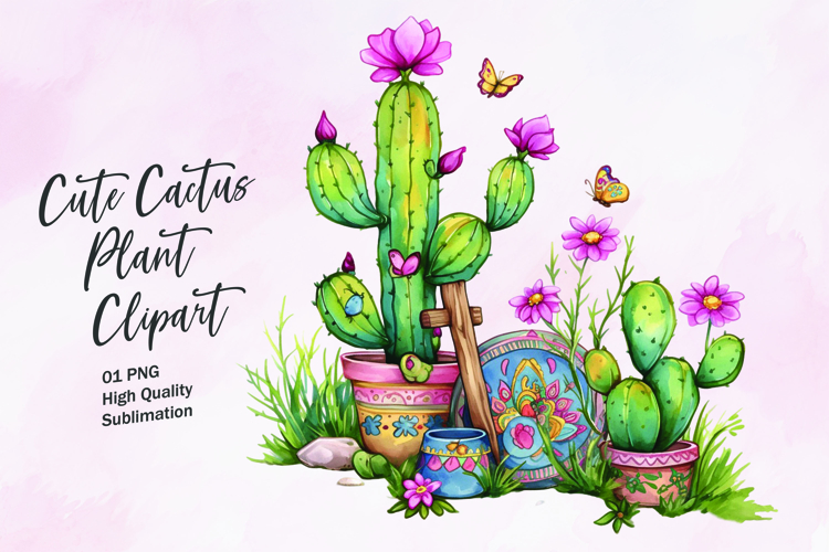 Cute Cactus Pictures Image 12