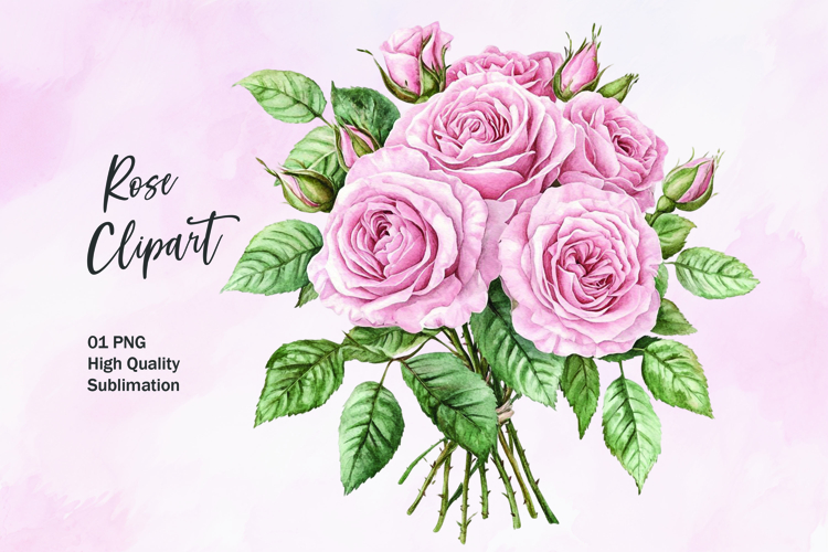 Rose Illustration Image 3