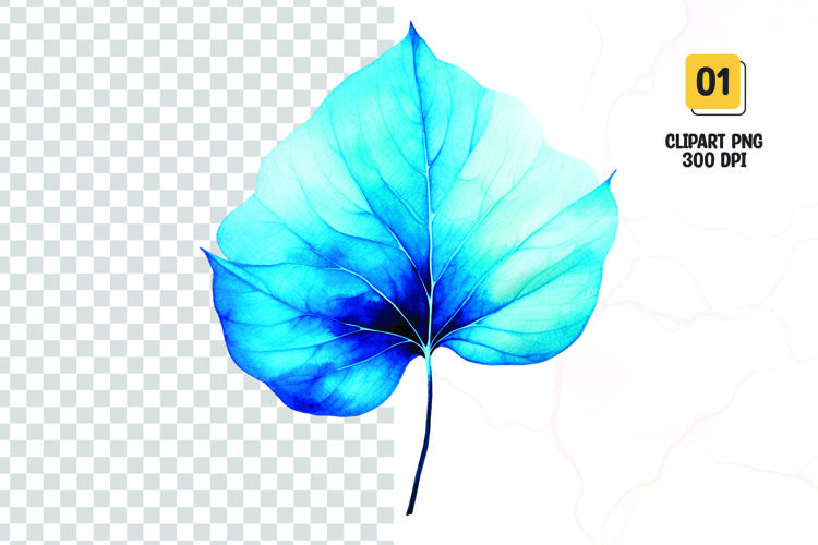 Leaf PNG Image 11