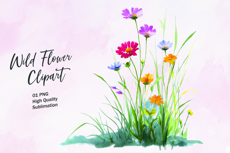 Wildflower Png