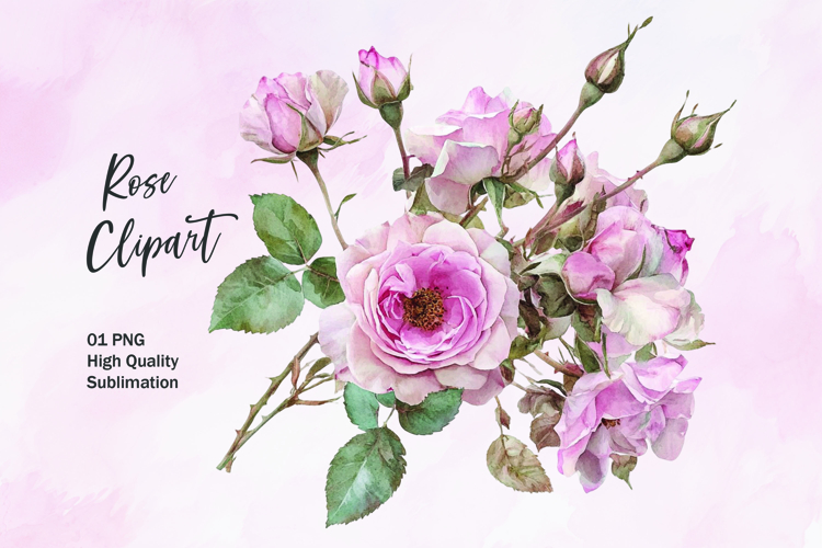 Rose Illustration Image 2