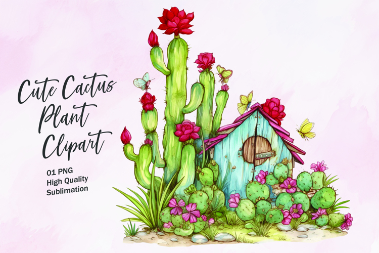 Cute Cactus Pictures Image 11
