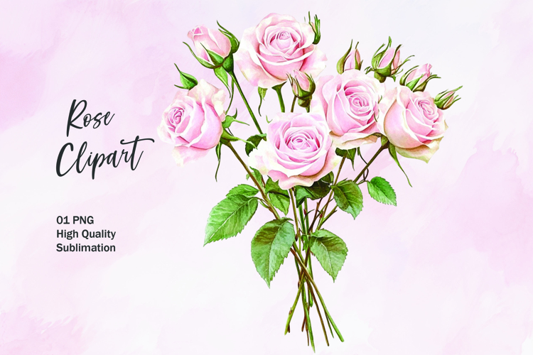 Pink rose watercolor clipart sublimation