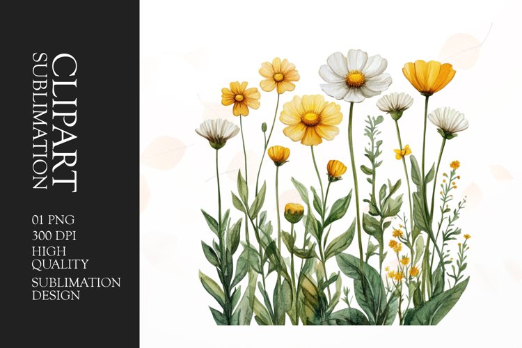 Watercolor buttercups flower clipart sublimation png