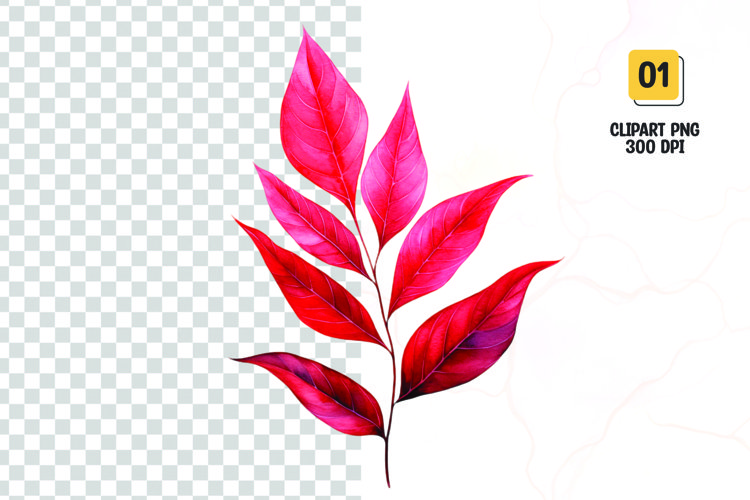 Watercolor red leave clipart sublimation png