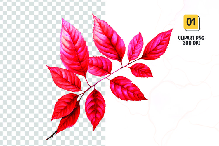 Fall Leaf Png Image 11