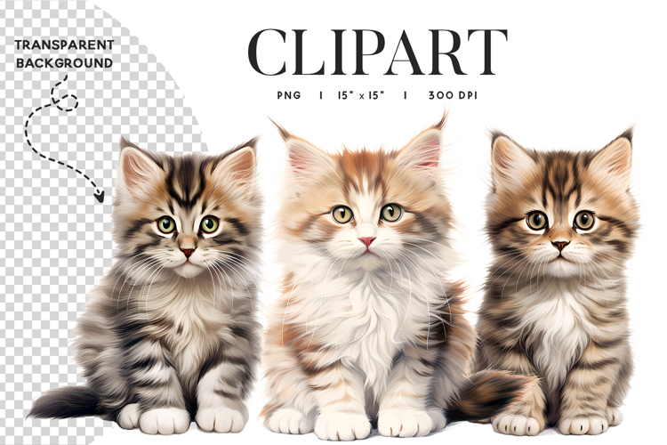Tabby Kitten Clipart PNG Transparent Background