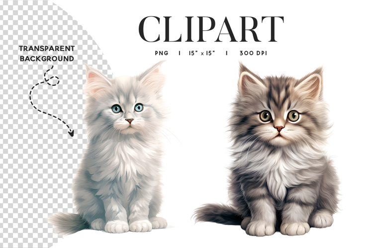 Fluffy Kitten Clipart PNG Transparent Background