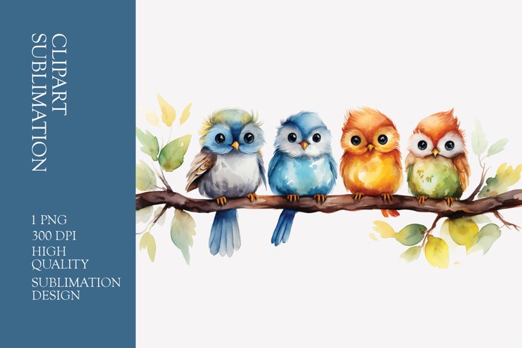 Funny Birds Sitting On Branch Watercolor Clipart Sublimation