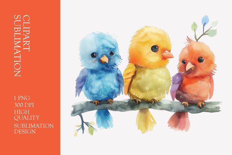 Cute baby birds watercolor clipart sublimation