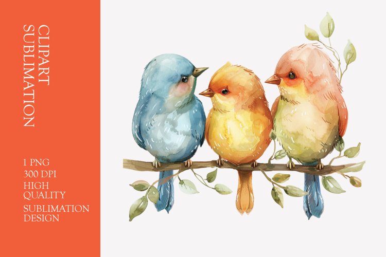 Cute baby birds watercolor clipart sublimation