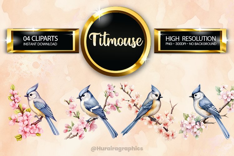 Bird Clipart Image 12