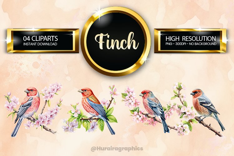 Bird Clipart Image 13