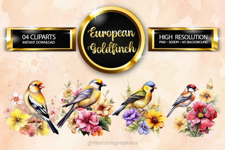 European Goldfinch Clipart 03 variations