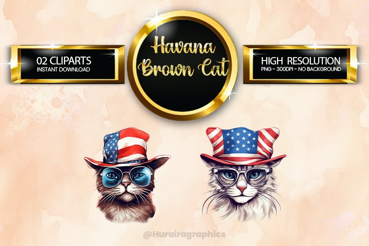 Havana Brown Cat Clipart 02 variations example image 1