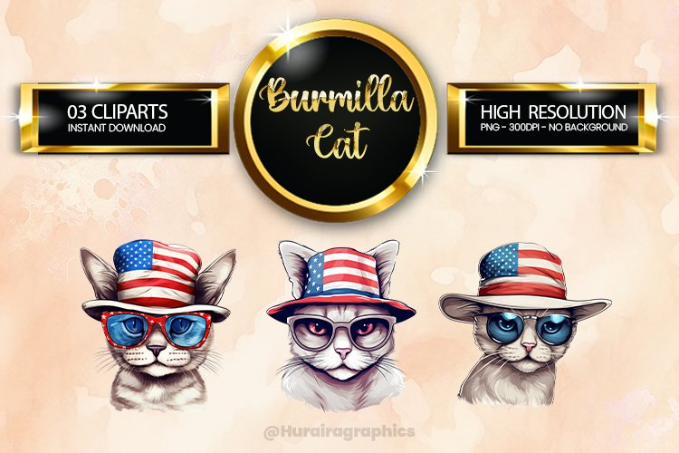 Cat Png Image 20
