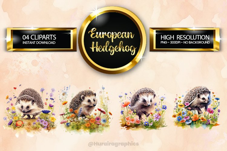 Hedgehog Clipart Image 9