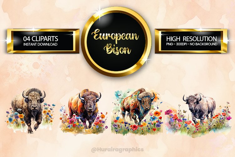 European Bison Clipart 04 variations