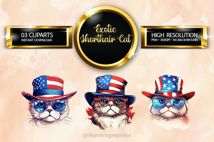Cat Png Image 14