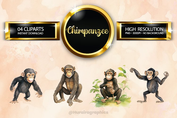 Chimpanzee Clipart 04 variations