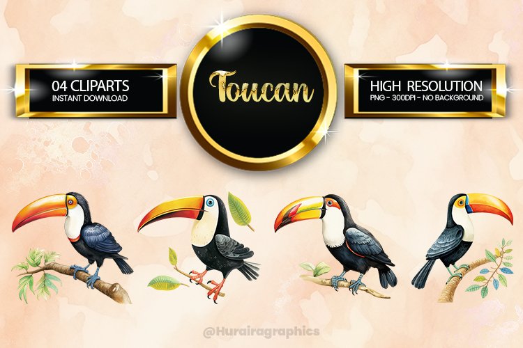 Bird Clipart Image 16