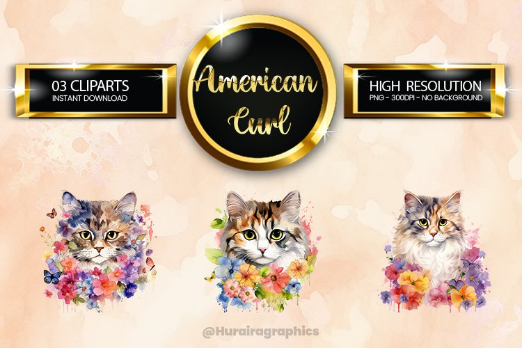 Cat Png Image 16