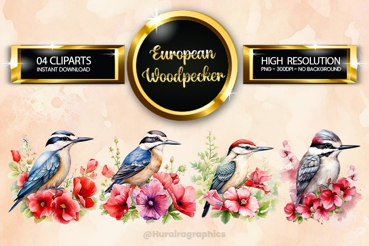 European Woodpecker Clipart 04 variations