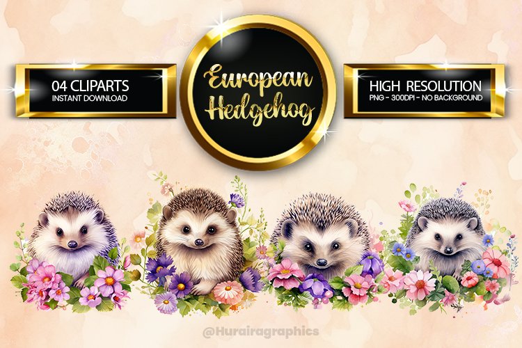 European Hedgehog Clipart 04 variations example image 1