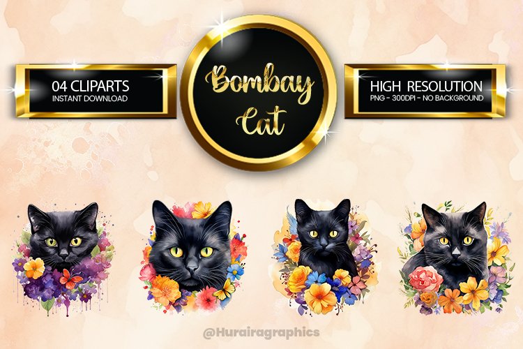 Cat Png Image 11