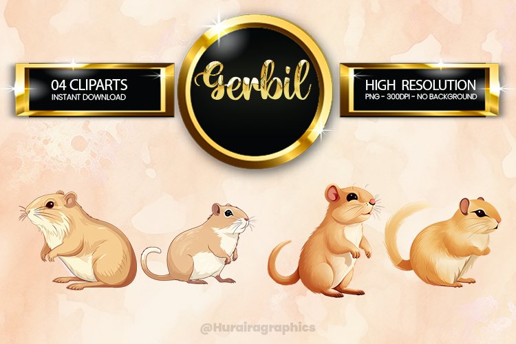 Gerbil Clipart 04 variations example image 1