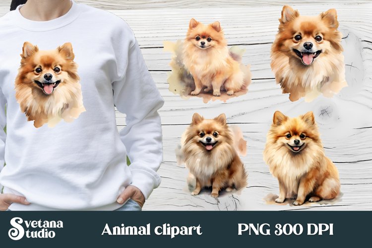 Pomeranian clipart PNG design, pomeranian dog sublimation design, pomeranian t shirt design